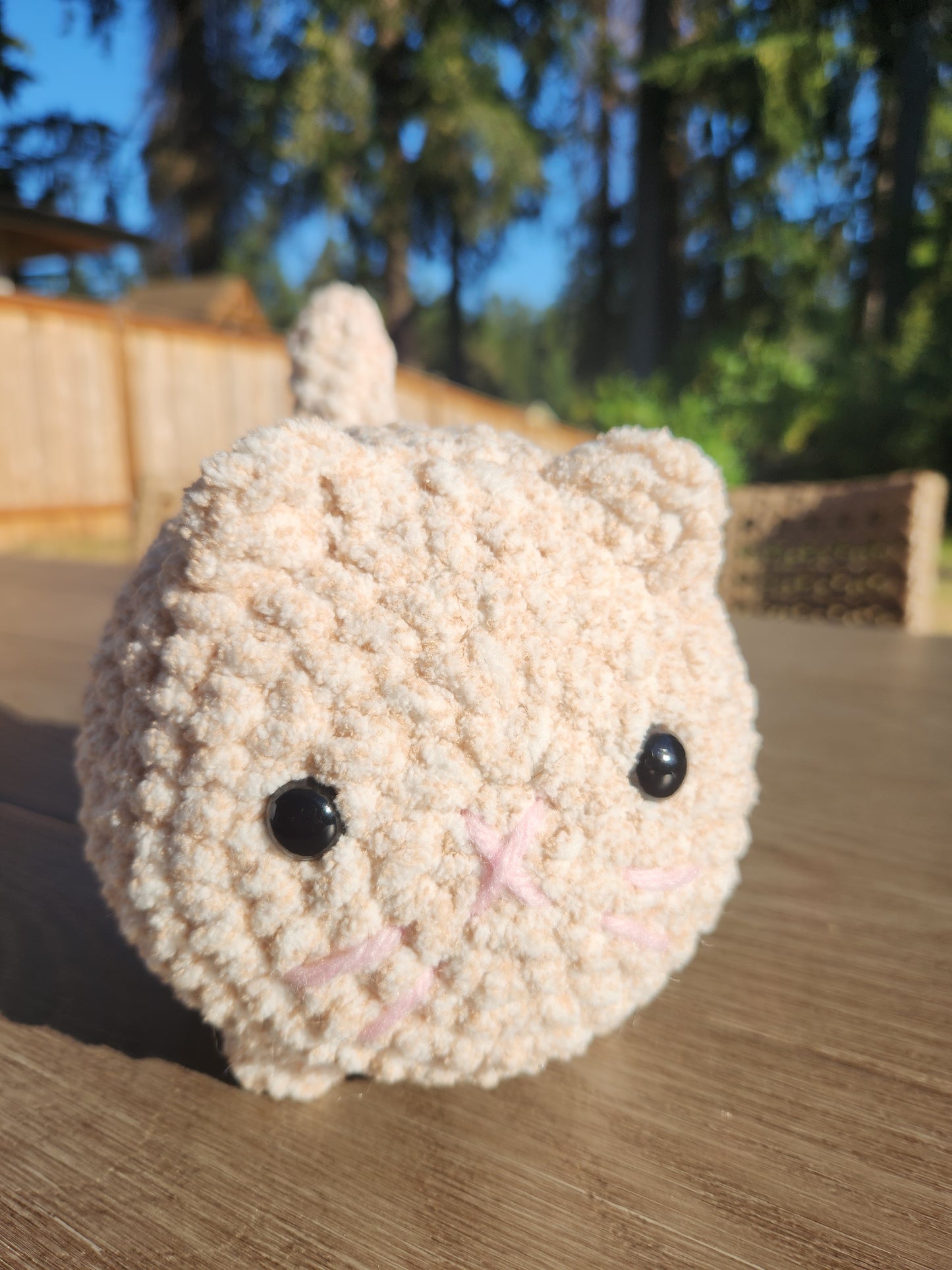 CUSTOM Solid Color Loaf Cat