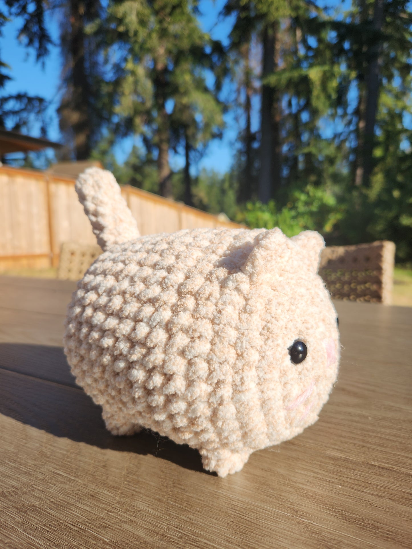 CUSTOM Solid Color Loaf Cat