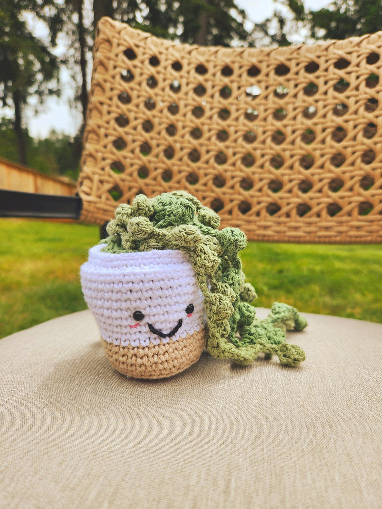 Crochet Potted Plant Succulent