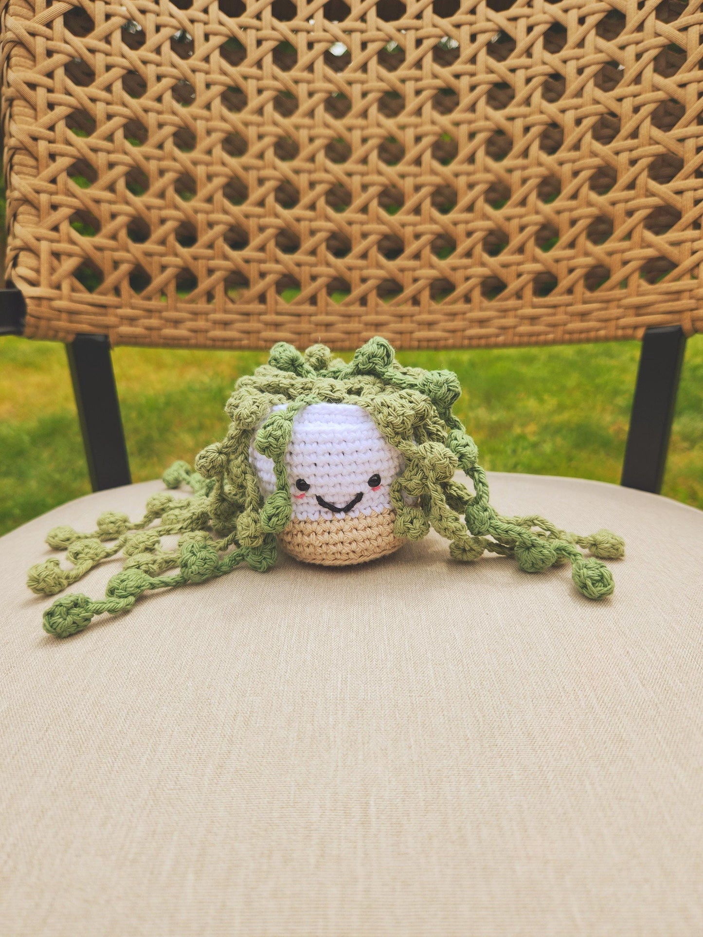 Crochet Potted Plant Succulent