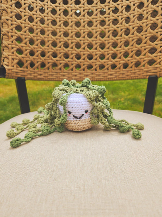Crochet Potted Plant Succulent